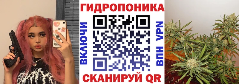 Купить закладки  Бологое  Марихуана Ganja 